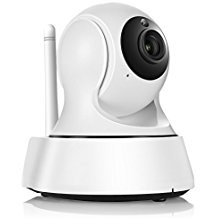 Telecamera IP Wi-Fi/Wired motorizzat