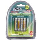 Blister batterie ricaricabili Ni-Mh