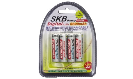 Blister batterie ricaricabili Ni-Mh