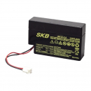 Batteria al piombo ricaricabile 12V