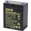 Batteria 12V 2.9Ah, faston 4.8mm al piombo ricaricabile - SKB