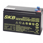 Batteria 12V 7.2Ah per UPS