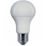 Lampadina LED PRO 180-250V E27