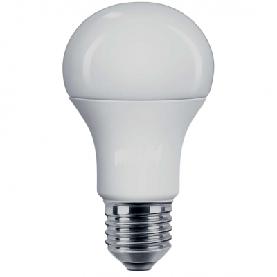 Lampadina LED PRO 180-250V E27