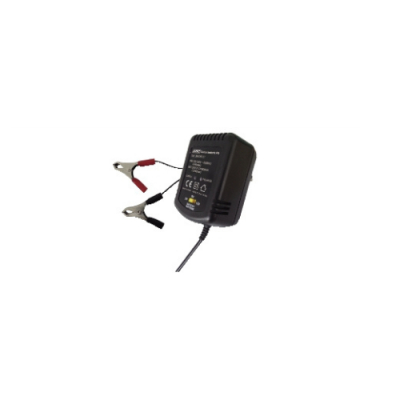 Caricabatterie per batterie al