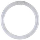 Circolina 3F tubo trifosforo T9 G10q