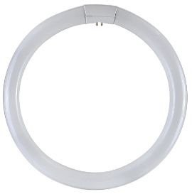 Circolina 3F tubo trifosforo T9 G10q
