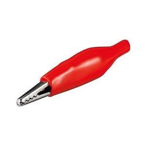 Coccodrillo isolato lunghezza