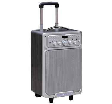 Cassa amplificata tipo trolley