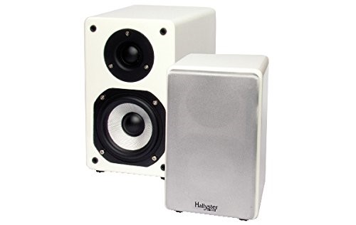 Coppia diffusori Hifi 2 vie woofer