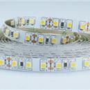 Striscia LED 12V 9.6W/m 6000K IP20