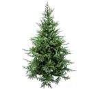 Albero cm150h Monte Grappa 1360 rami diam.cm142