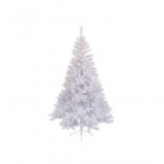 Pino bianco imperiale 180cm