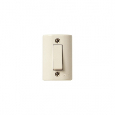 Deviatore 1P 6A da parete, colore