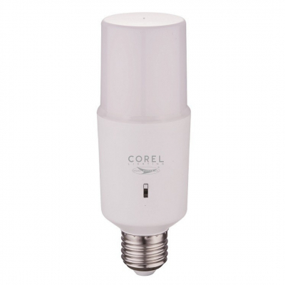 Lampadina LED E27 15Watt con