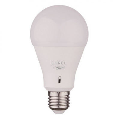 Lampadina LED E27 12W con