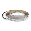 Striscia Led 24V 12W/mt RGB IP20