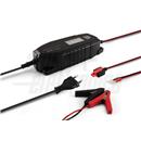Carica batteria al piombo 12/24V +