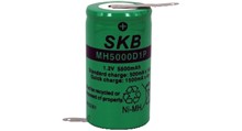 Batteria ricaricabile Ni-Mh torcia D