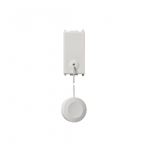 Pulsante 1P NO 1P 10A/250V