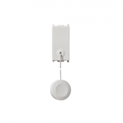 Pulsante 1P NO 1P 10A/250V
