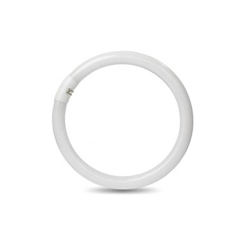 Circolina LED 20Watt G10q 1650Lm