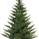 Albero di natale 150cm verde