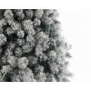 Abete Snowy Vancouver mixed pine