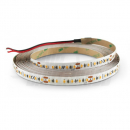 Striscia Led 120 Led/m 24V 4000k
