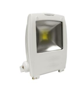 Proiettore LED Bianco 230V 10W 3000