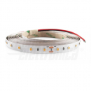 Striscia Led 24V 4,8W/m Bianco Freddo