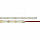 Striscia Led 24V 19,2W/m Bianco