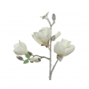 Ramo di Magnolia h 50cm