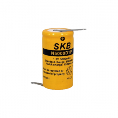 Batteria Torcia NI-CD 5000mA