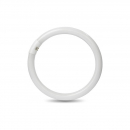 Circolina Led 20W 6500K