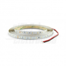 Striscia Led 24V 4,8W 5mt 2700k