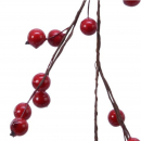 Ghirlanda di bacche rosse