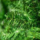 Albero di natale Imperial verde