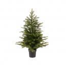 Mini albero verde con vaso h 90cm diametro 63cm