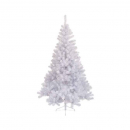 Pino bianco imperial 120cm