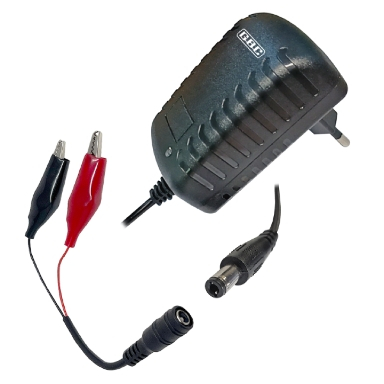 Carica batterie al piombo 12V