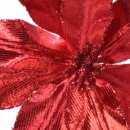 Stella di natale rossa con pinzetta diametro 11cm
