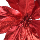 Stella di natale rossa con pinzetta