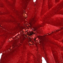 Stella di natale rossa con pinzetta diametro 11cm