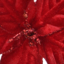 Stella di natale rossa con pinzetta