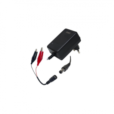 Caricabatterie per batteria piombo
