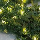 Catena microled 240 led bianco caldo