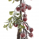 Ghirlanda con foglie e bacche rosse