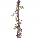 Ghirlanda con foglie e bacche rosse