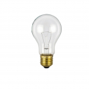 Lampadina E27 130V 100W 60X105